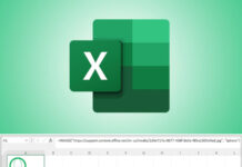 Excel image function
