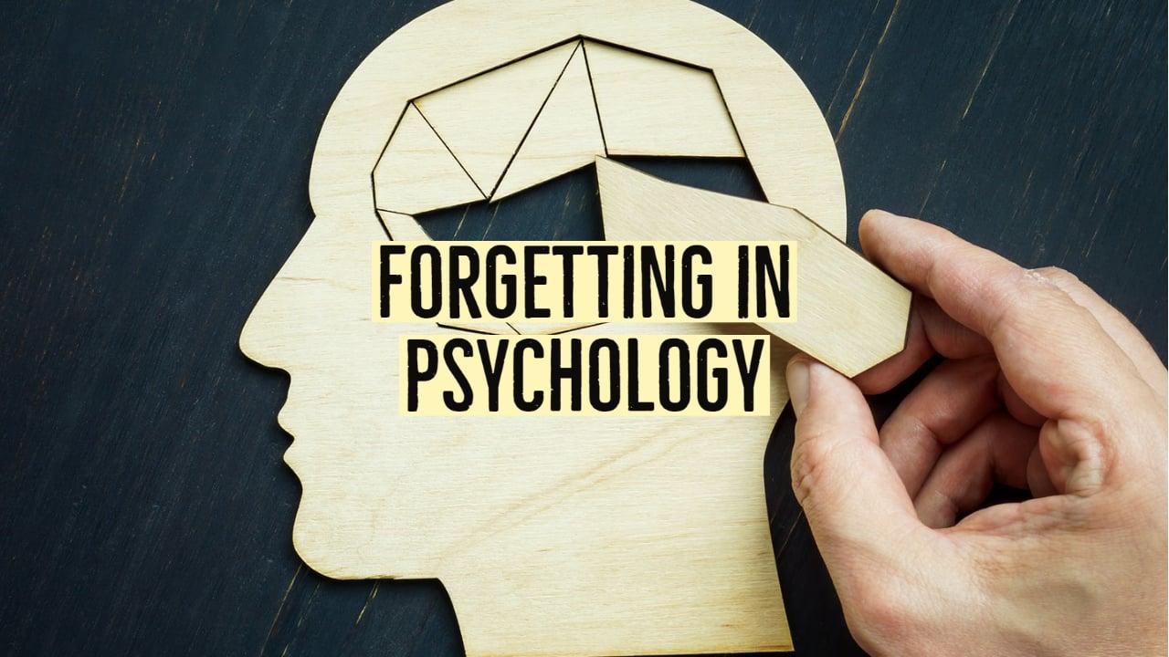 Understanding the Psychology Behind Forgetting
