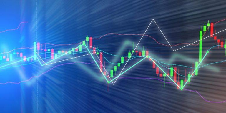 Navigating Market Dynamics: Insights from Successful Enterprises