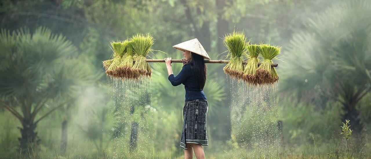 Leveraging Sustainable Sourcing for Competitive Advantage