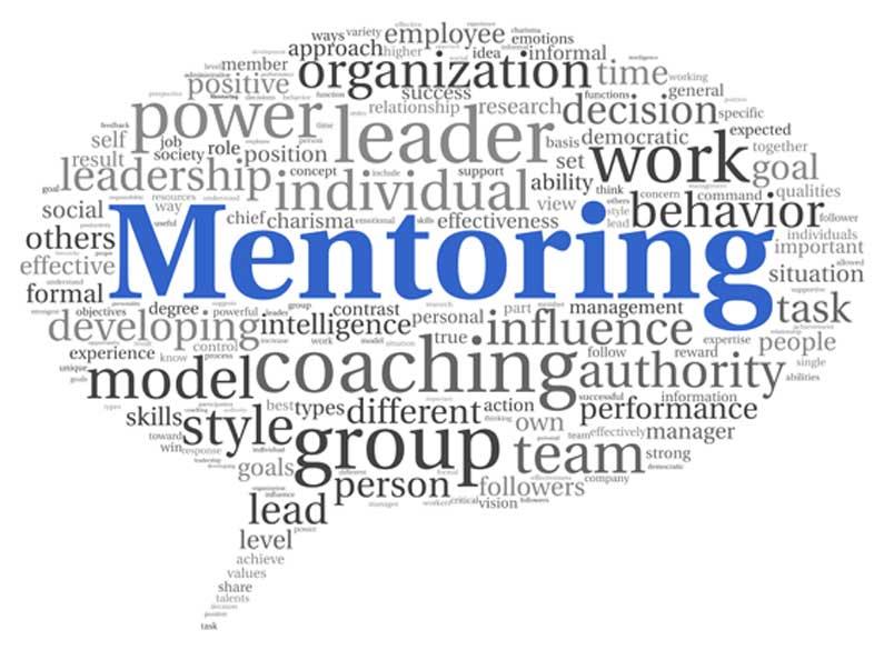 The Role of Mentorship in Career Advancement​