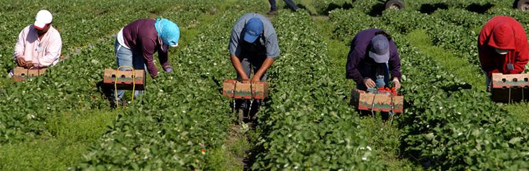 Measuring the Long-Term Benefits of Ethical Sourcing for Business Growth