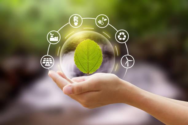Sustainability Practices ​in smart ​Cities: Opportunities ‌for greener Businesses
