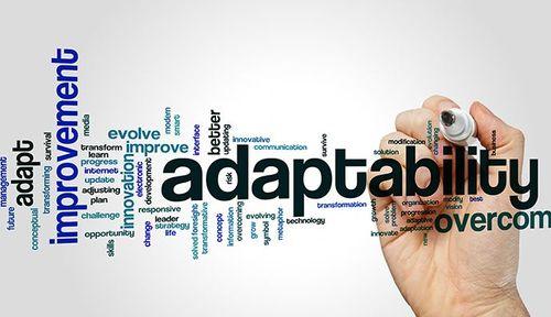 Harnessing Adaptability in a Rapidly Changing Market