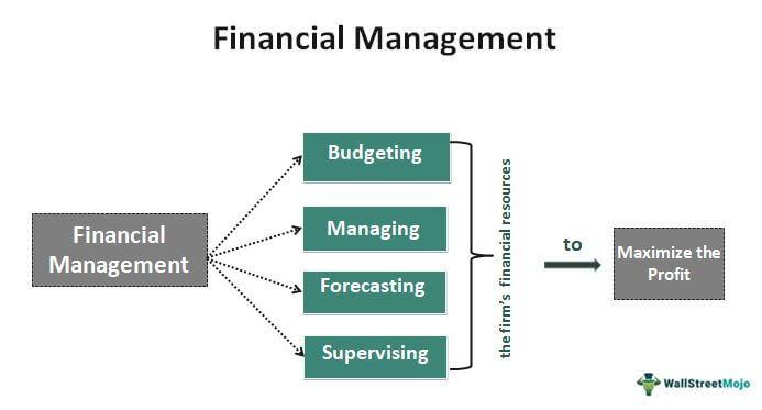 Mastering Financial Management During rapid Growth