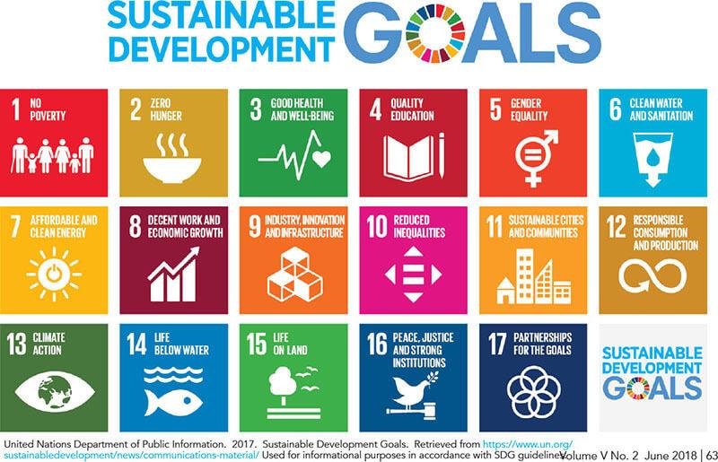 Overlooking Sustainability: Integrating Environmental Responsibility into Education