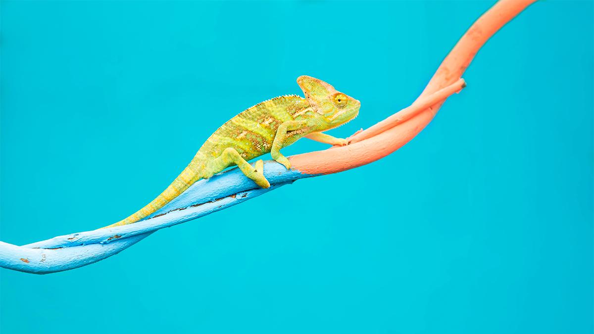 Adaptability in Action: Thriving in an Ever-Changing Landscape