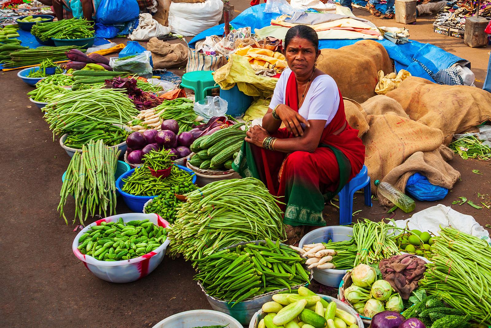 Navigating Challenges: The Risks Faced by Micro-Entrepreneurs