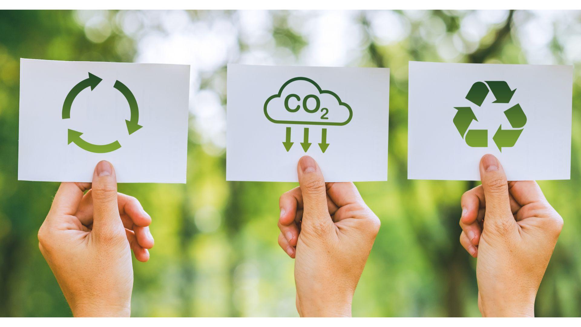 Sustainable Practices: How Eco-Friendly Approaches Enhance Profitability