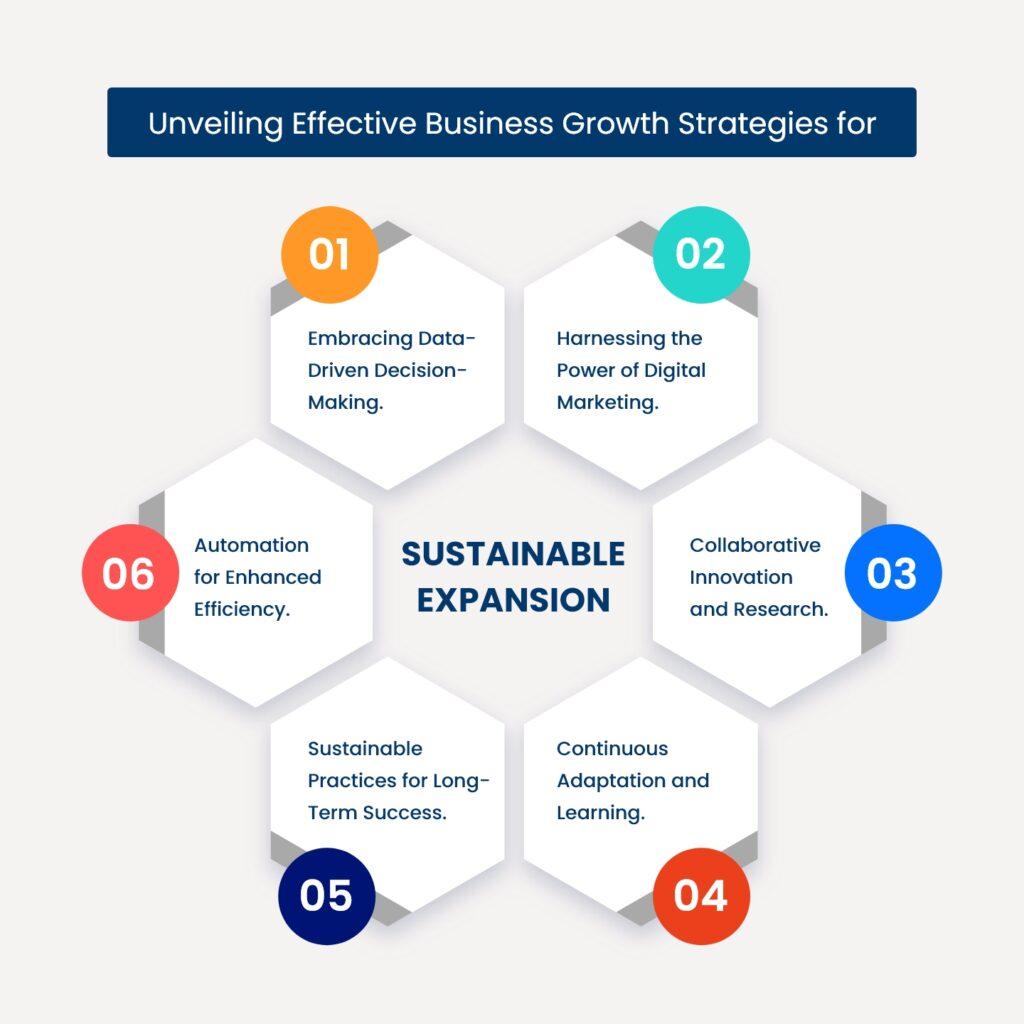 Creating Sustainable Growth Strategies