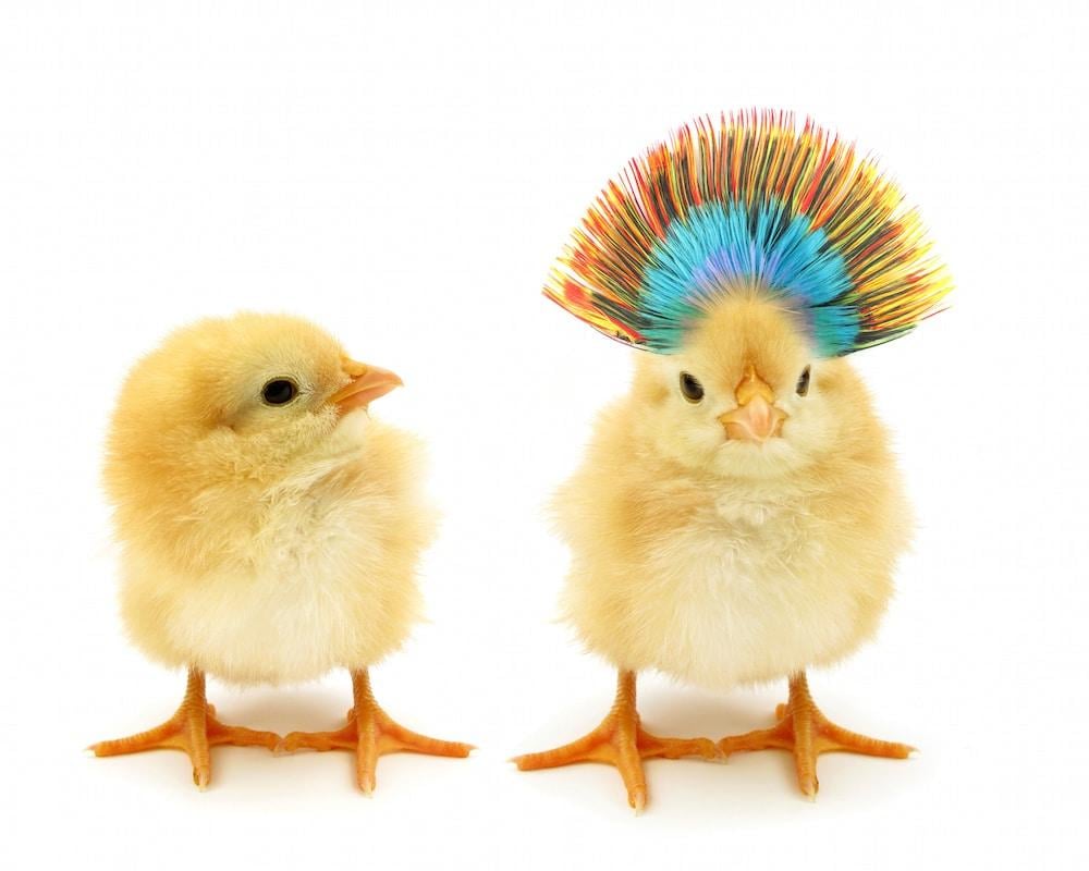 People don’t want better — they want different