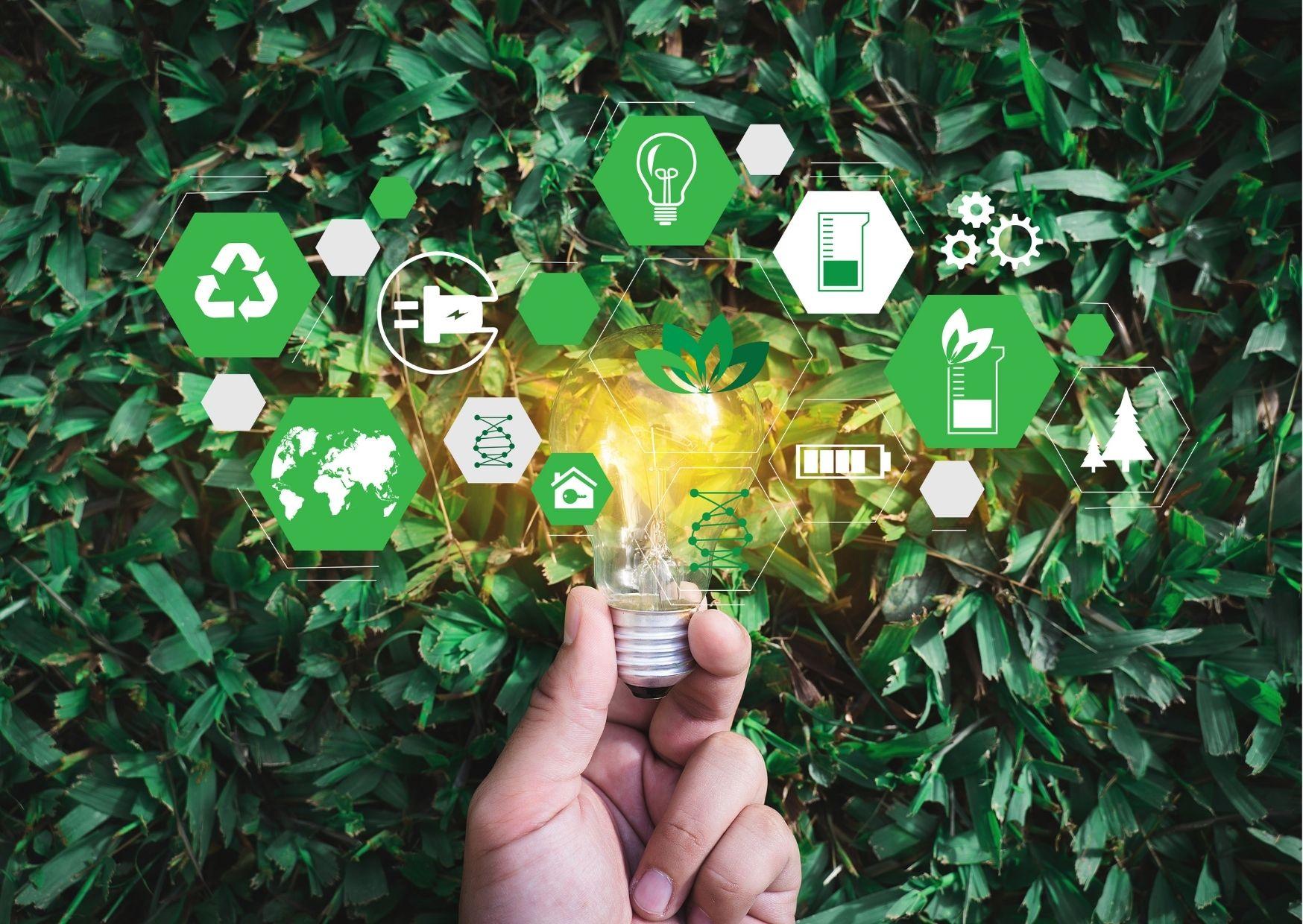 Sustainable Practices: How Small Businesses Lead ⁢in Responsibility