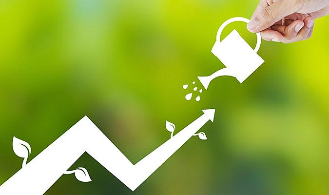 Creating Sustainable Growth with Niche-focused Business Models