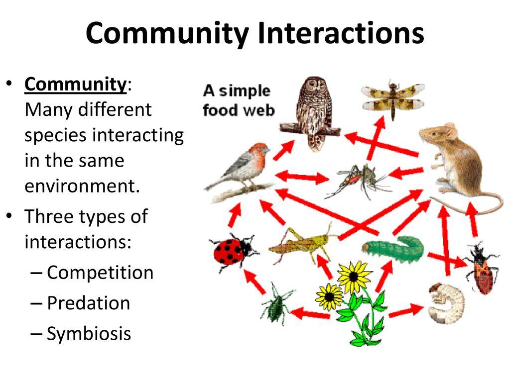 Creating Engaging Community ⁣Interactions to ⁢Enhance Loyalty