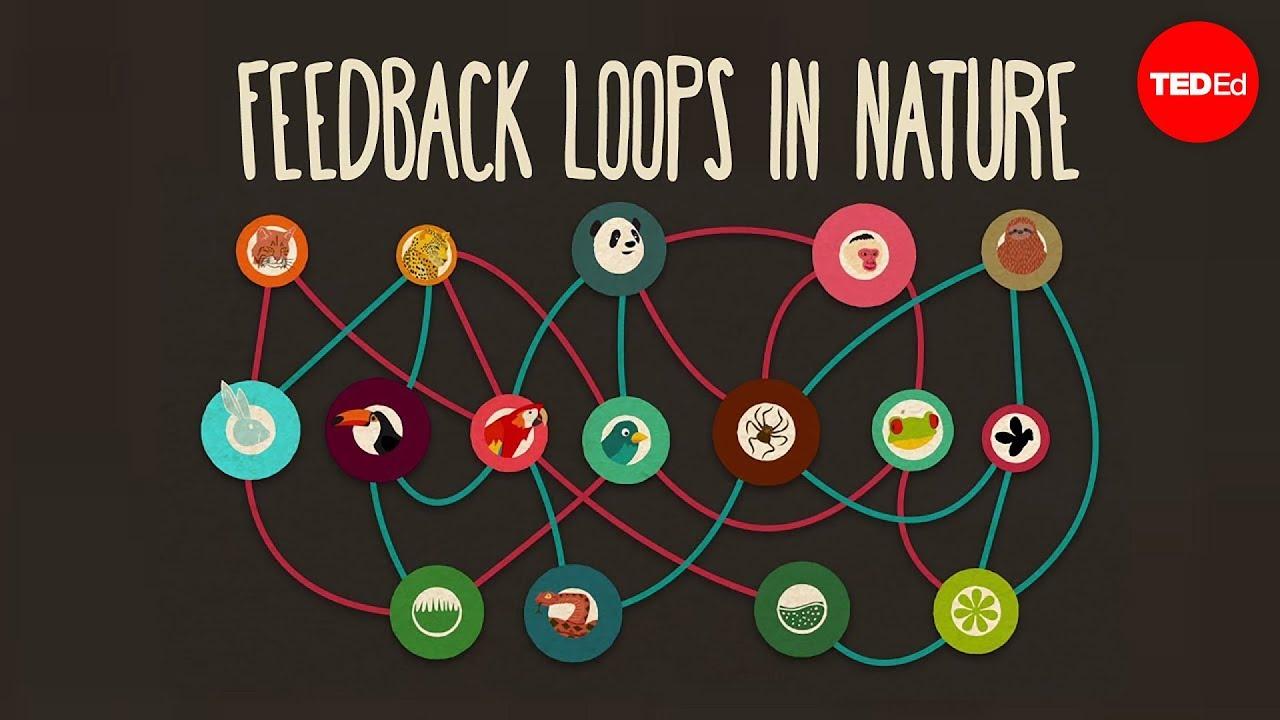 Incorporating Feedback Loops for Continuous⁢ Improvement