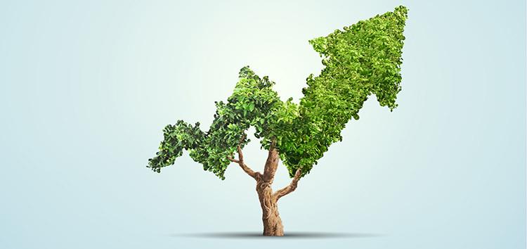 Understanding the⁢ Value of Sustainable Growth