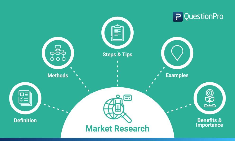 Demonstrating Market Knowledge and Research Insights