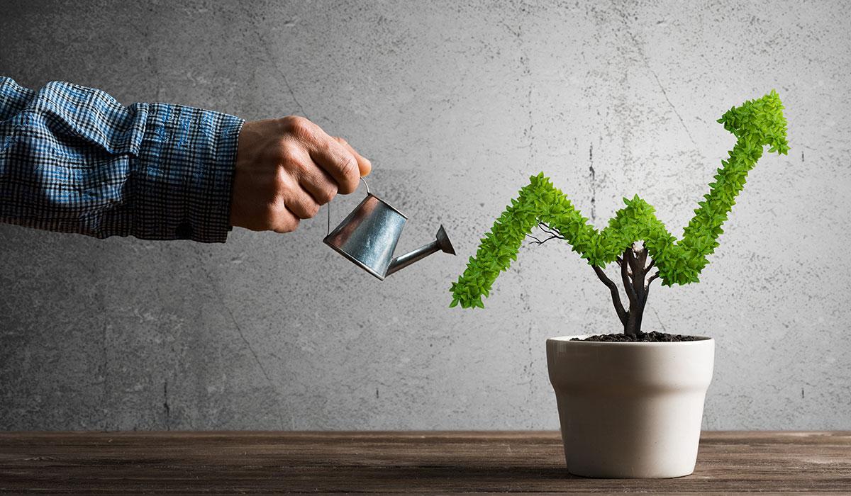 Balancing Quality and Quantity: Maintaining ‌Standards Amid Growth