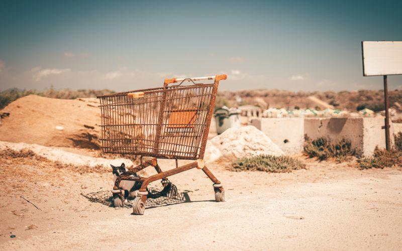 The hidden goldmine in abandoned carts